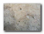 Click to enlarge this image
